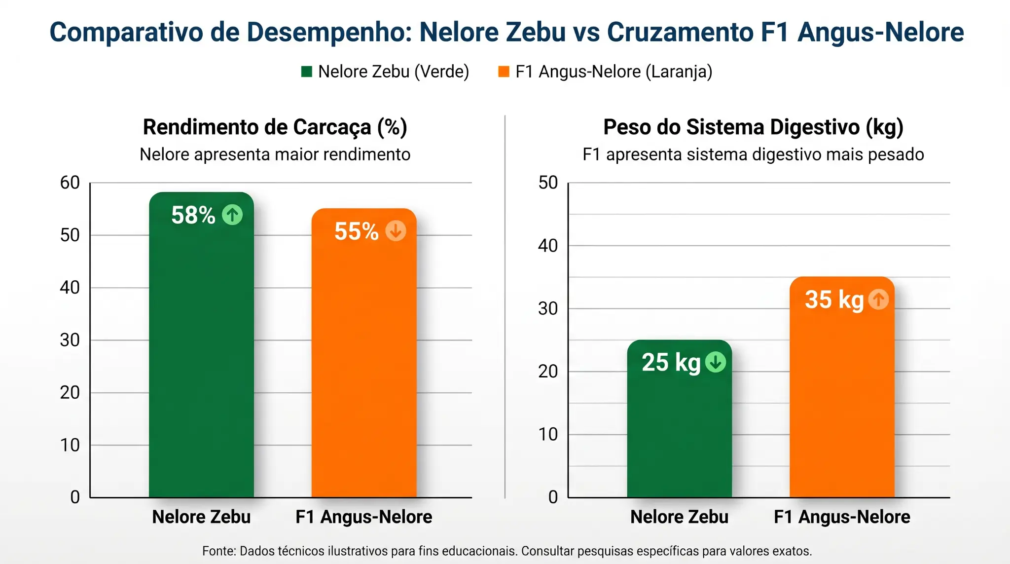 Rendimento de Carcaça