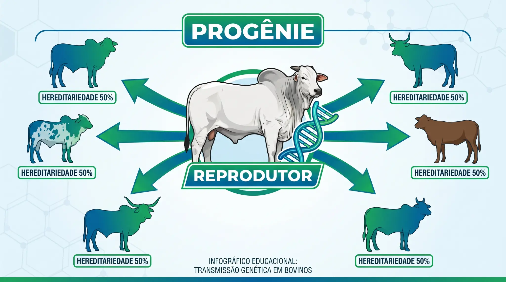 Transmissão Genética